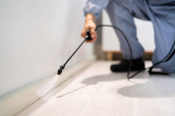 Bed Bug Pre-Treatment Preparation Assessment in Newton